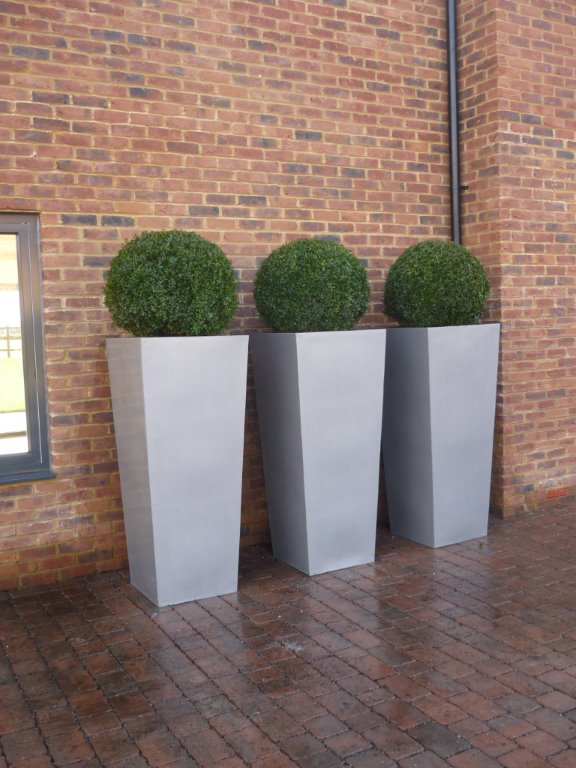 Large planters and box spheres show home Chorleywood