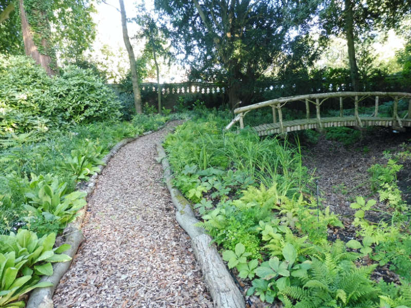 Woodland garden project Cambridgeshire