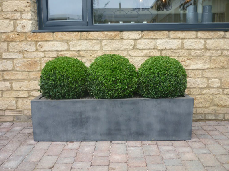 Show home London - faux lead planter & topiary box spheres
