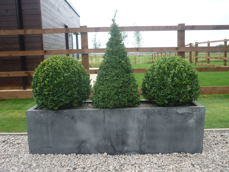 Show home, London - Faux lead planters & topiary box.